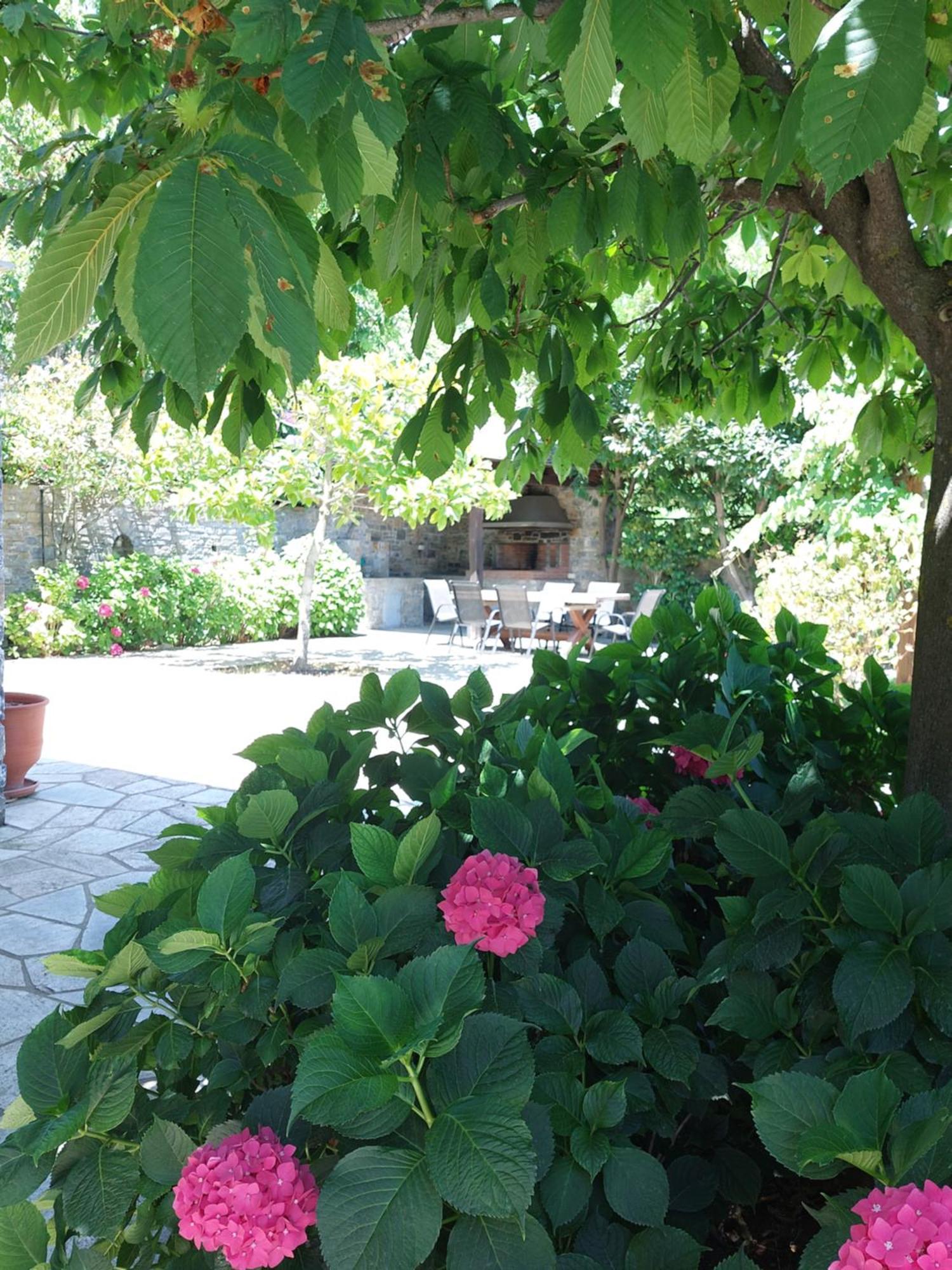 Θαλλώ Luxurious Villa Tsagarada Exterior photo